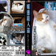 Image for article titled If Cats Watched Porn, I Guess They'd Watch This